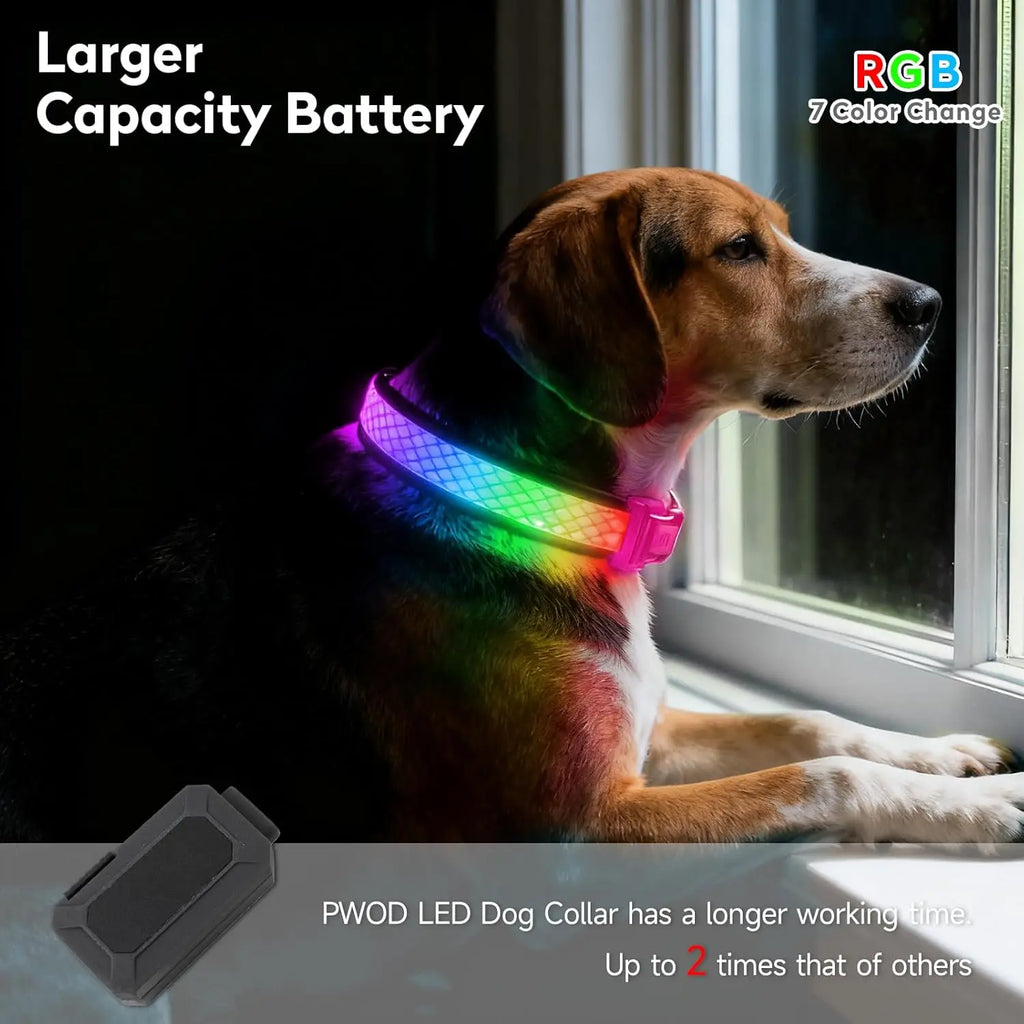 LED Safety Collar - USB Rechargeable, 3 Modes