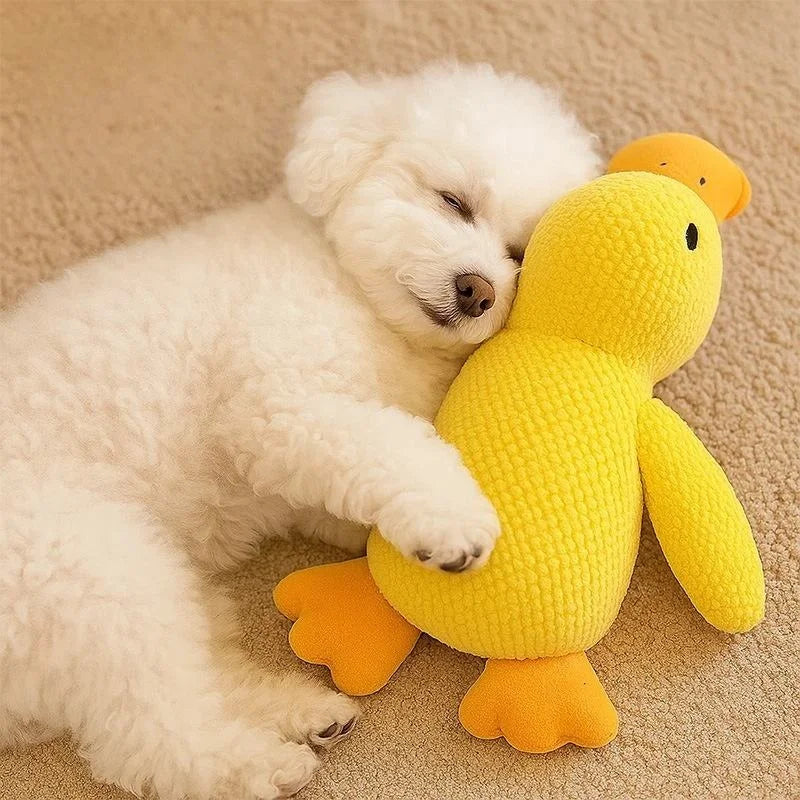 Squeaky Plush Duck Dog Toy