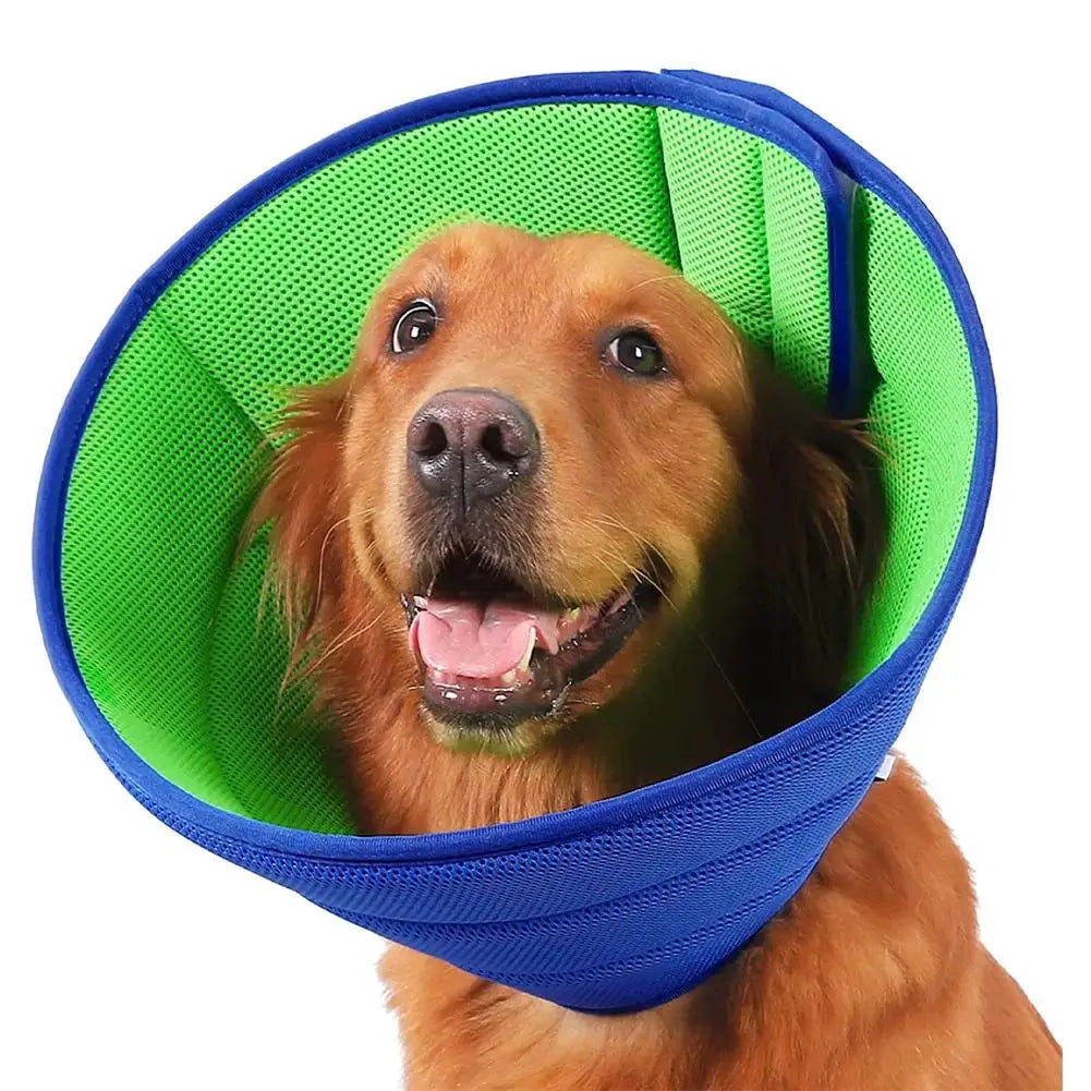 Soft Recovery Collar for Dogs & Cats