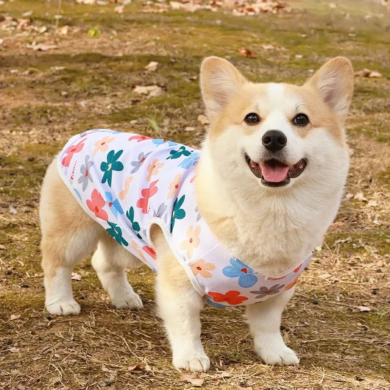 Sommer-T-Shirt für Hunde – Leichte, atmungsaktive Baumwollweste