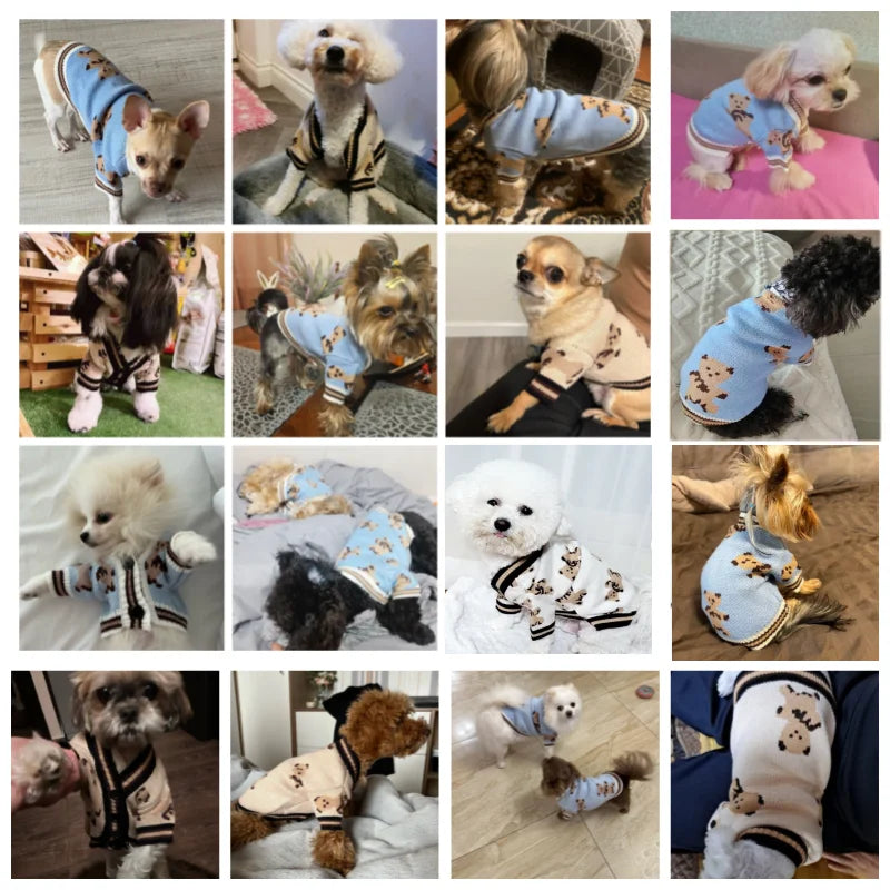 Teddybär-Hundepullover – Gestrickte Strickjacke mit Knopfleiste