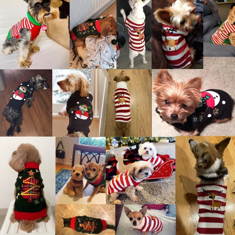 Cartoon Knit Dog Coat – Warm Winter Sweater for Small to Large Dogs
