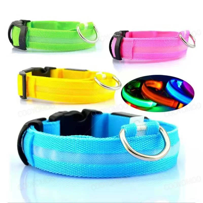 LED Dog Collar – USB Rechargeable Light-Up Collar, 3 Modes