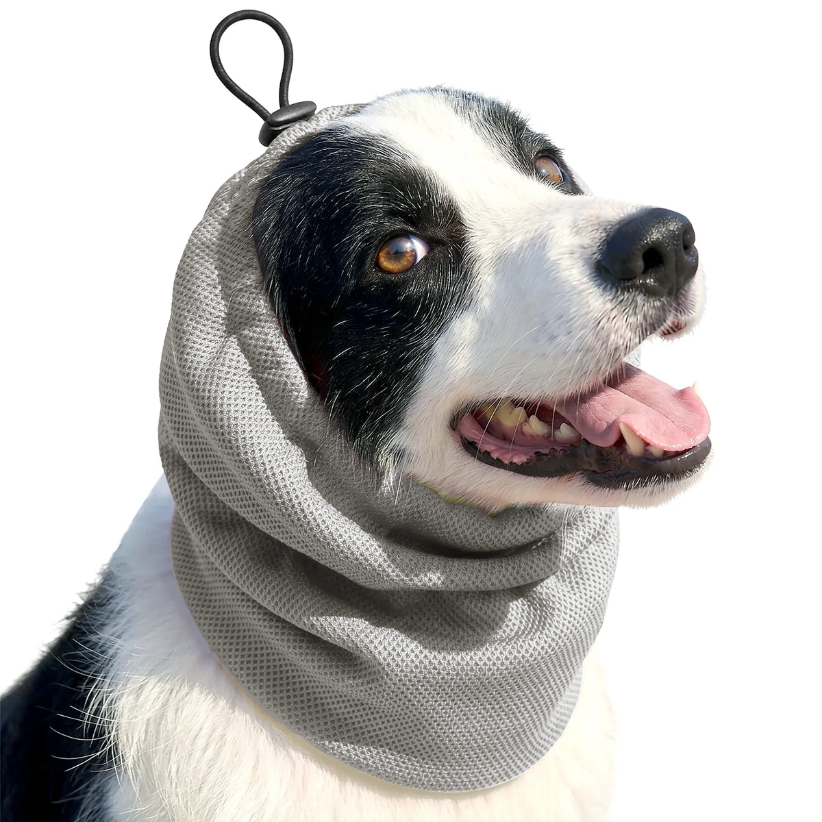 Kühlendes Hundehalstuch – Verdunstungs-Nackenkühler