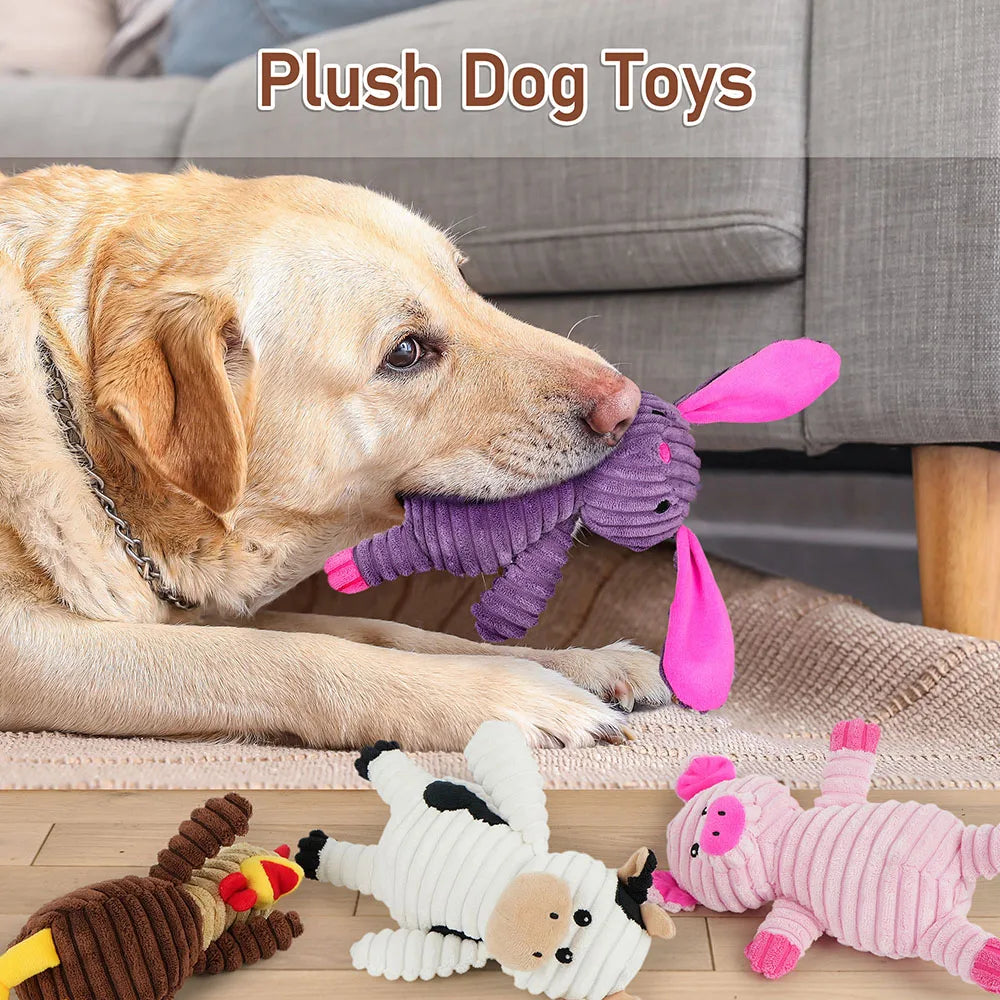 Squeaky Plush Dog Toys - Set of 5