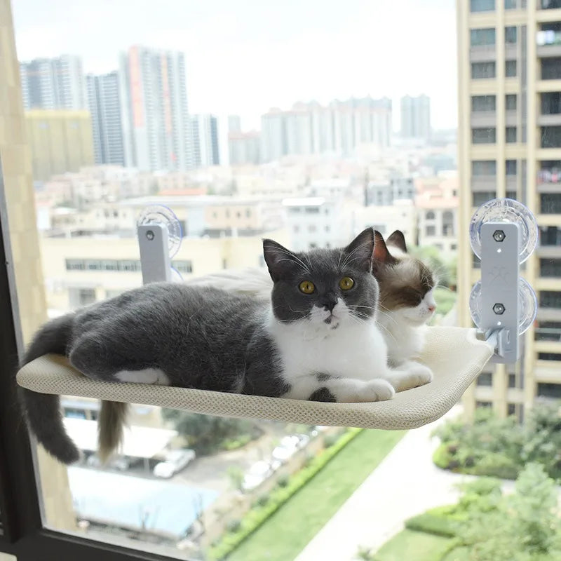 Cat Window Hammock – Suction Cup Window Bed