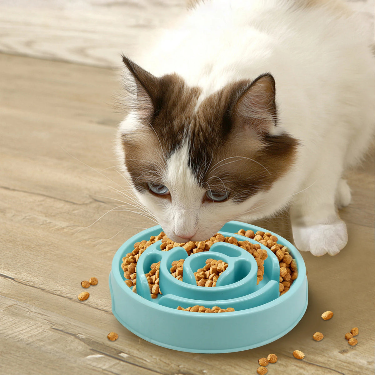 Slow Feeder Dog Bowl – Non-Slip Maze Bowl for Fast Eaters