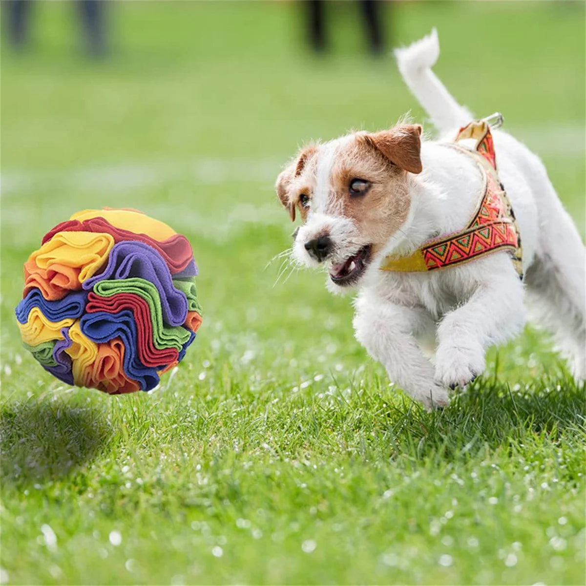 Foldable Snuffle Ball – Collapsible Sniffing Toy & Treat Dispenser