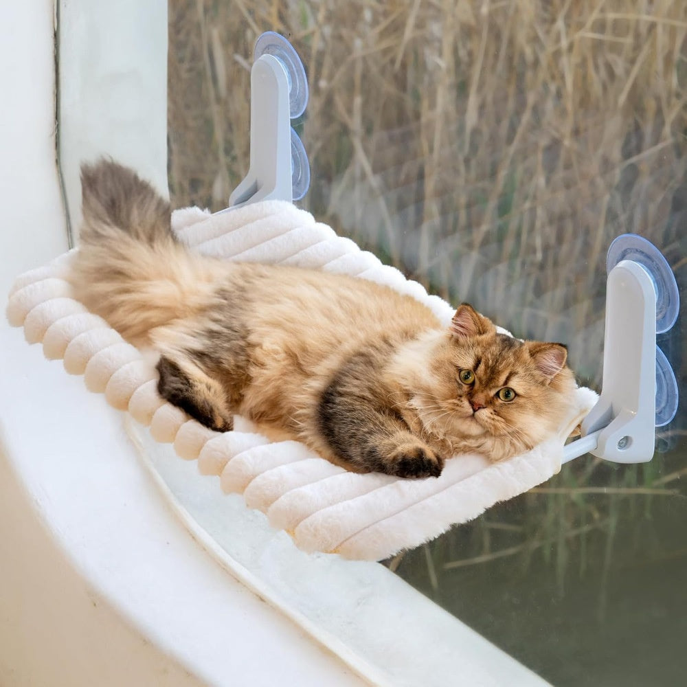Cat relaxing on the suction cup window perch