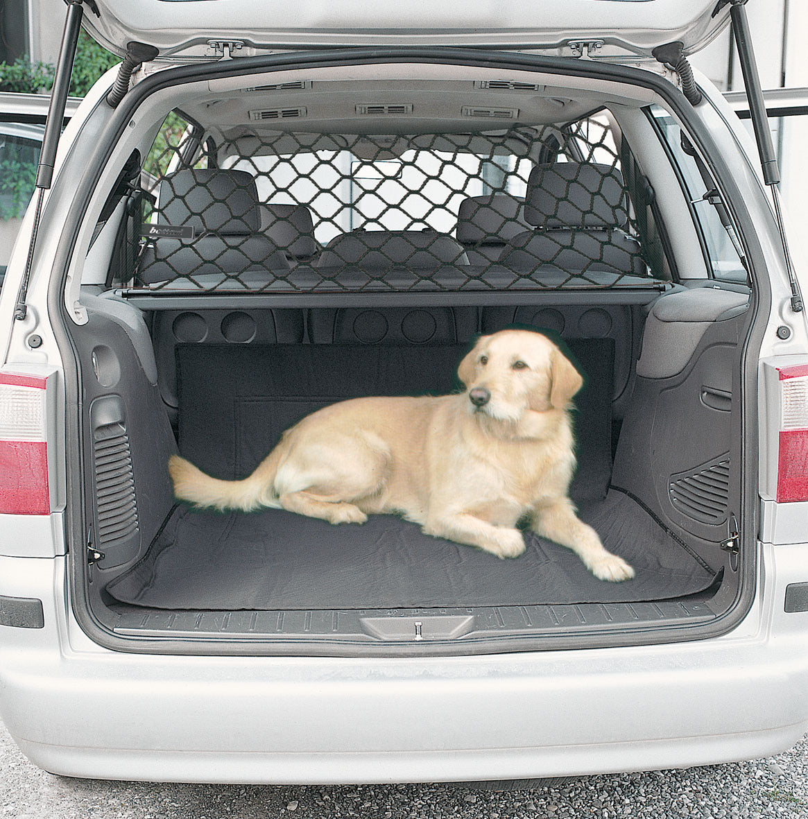 Dog in car boot behind a black mesh barrier net