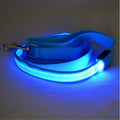 LED dog lead – Blue colour