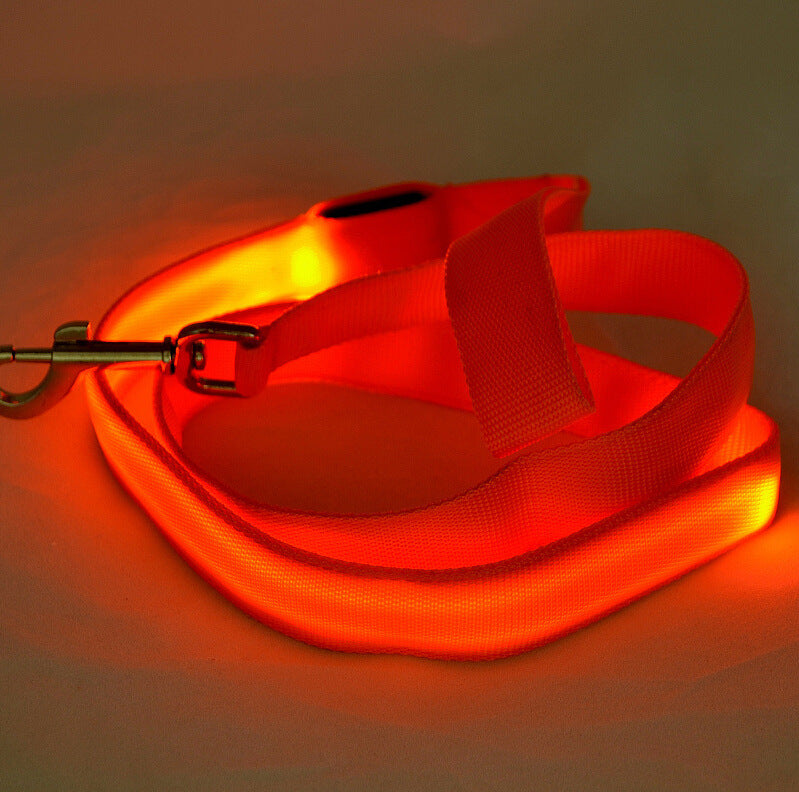 LED dog lead glowing in the dark