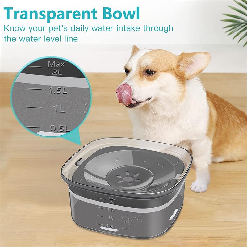 Transparent bowl shows the water level