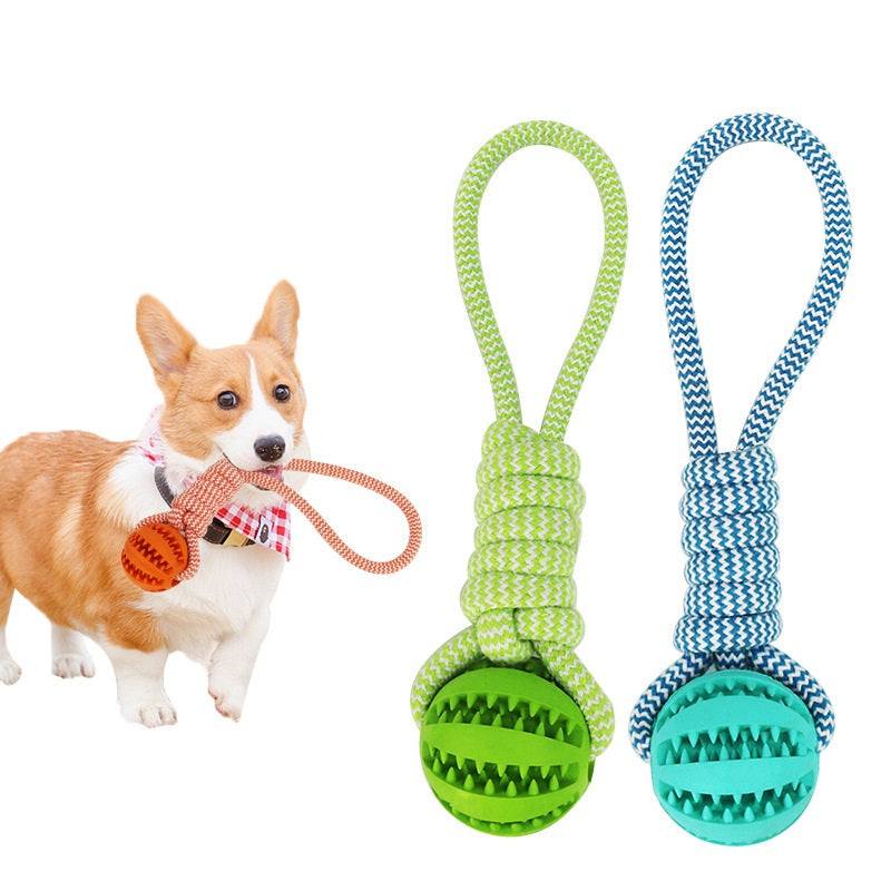 Dog with the treat ball rope toy