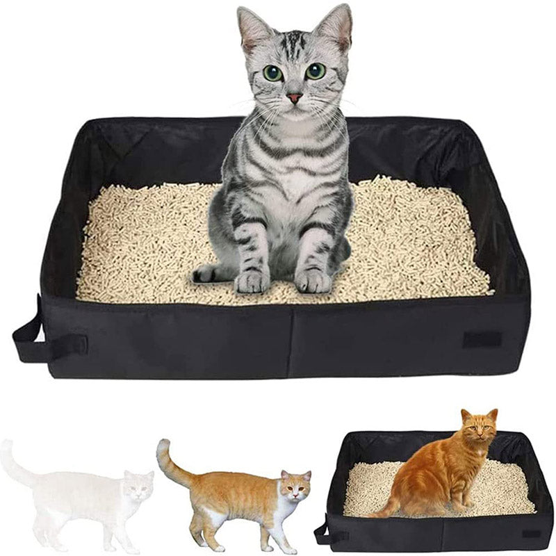Cat sitting in the foldable travel litter box
