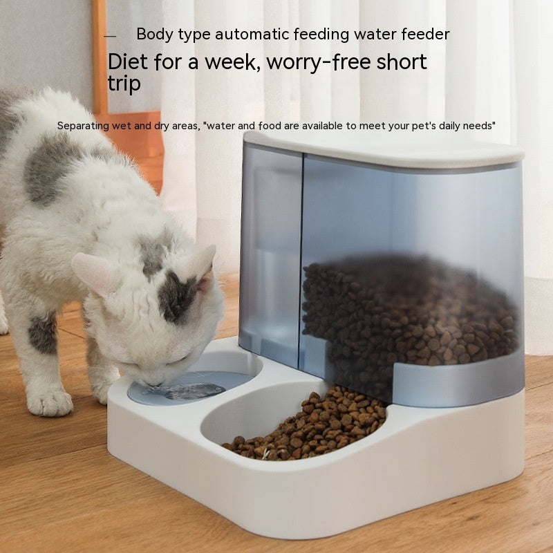 Cat eating from the gravity feeder