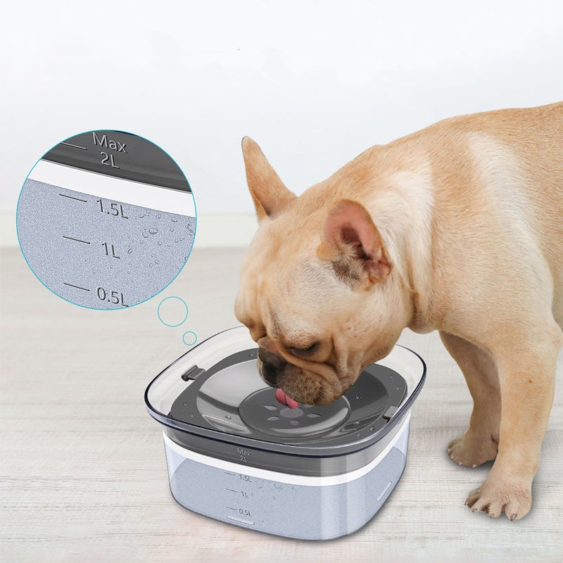 Dog drinking from the no-spill water bowl