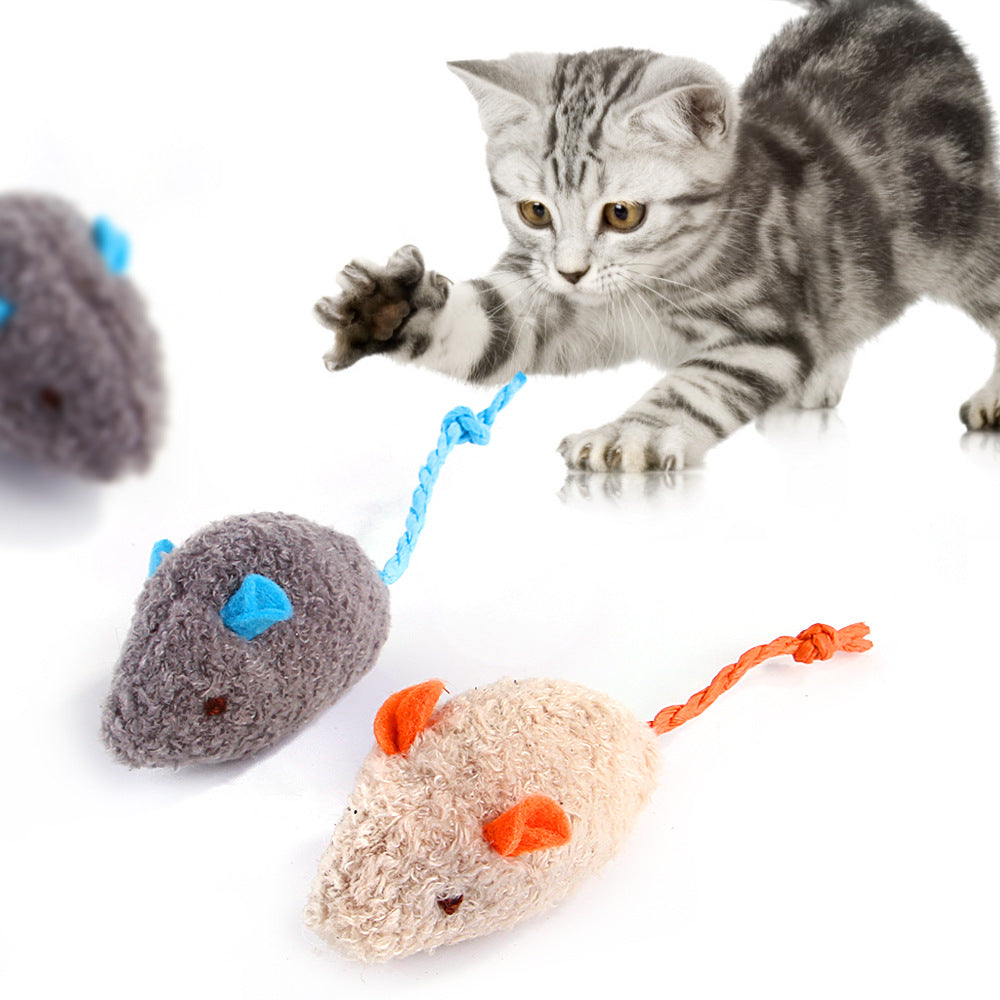 Cat playing with plush mouse toys